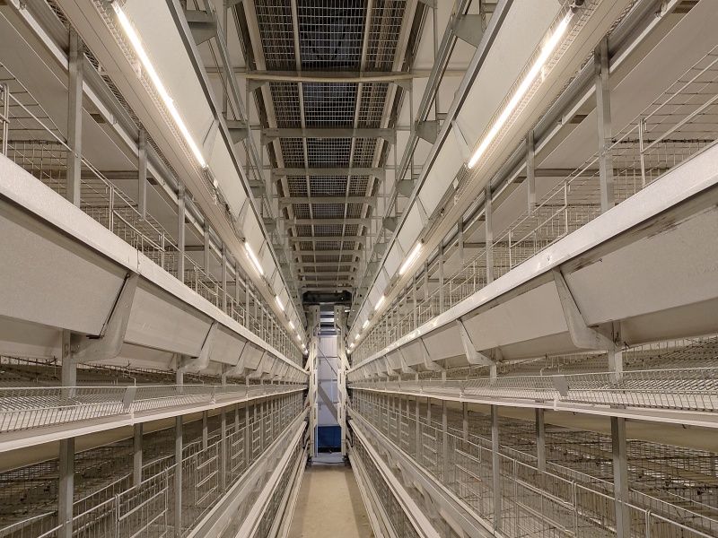 5��12�ӆΗ�15�f��