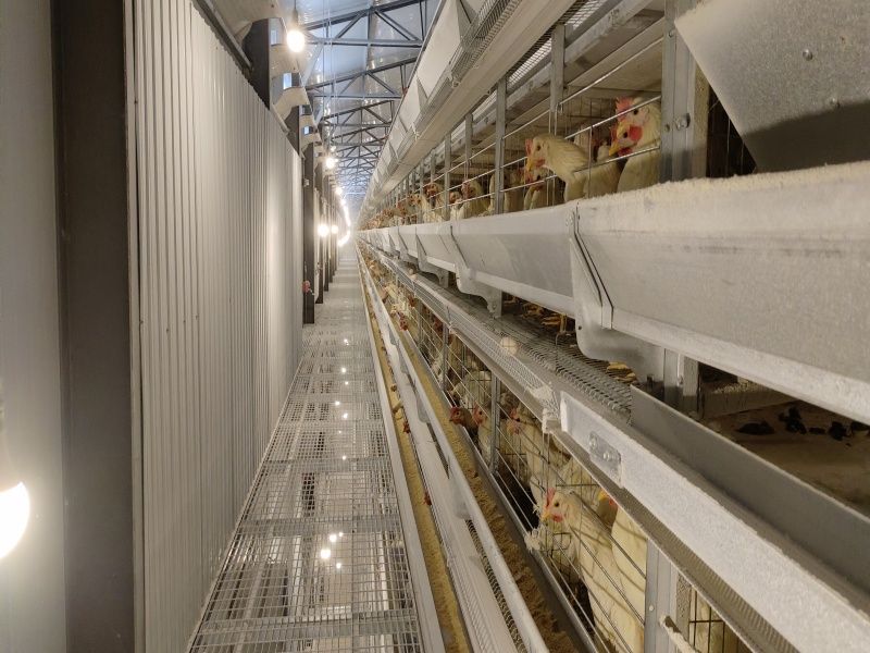 �ӯBʽ�B�u�O��-���u