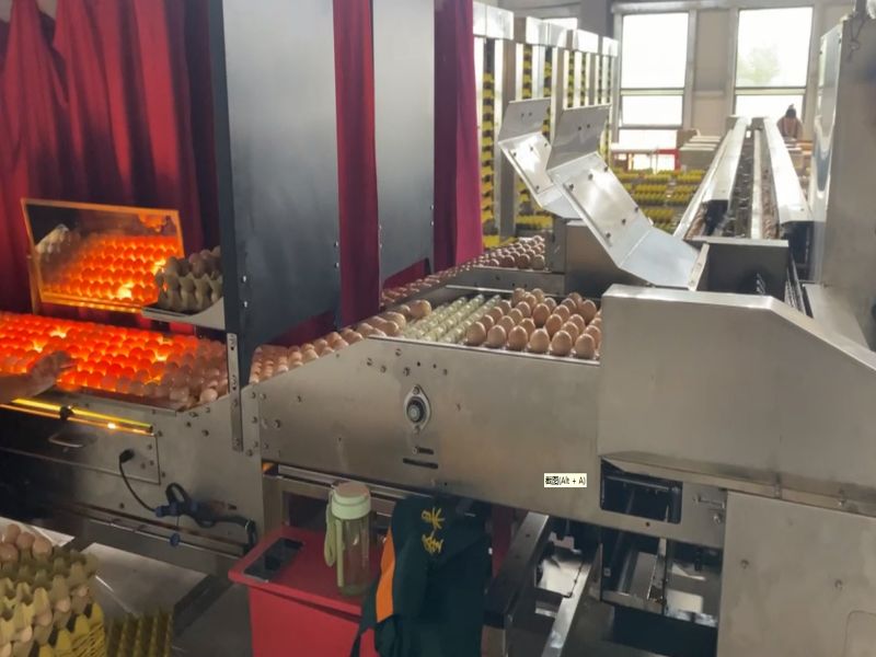 ��Ʒ�ּ��b�ЙC��ÿС